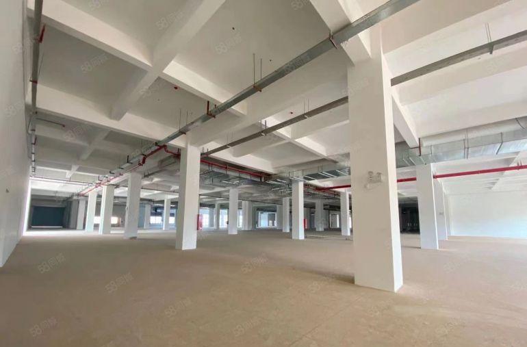 仲恺区陈江镇新独门独院10000平米厂房出租