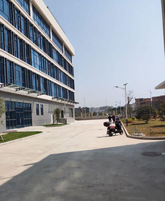 陈江东升工业区园区独院厂房5层12000平方一手房东直租含税