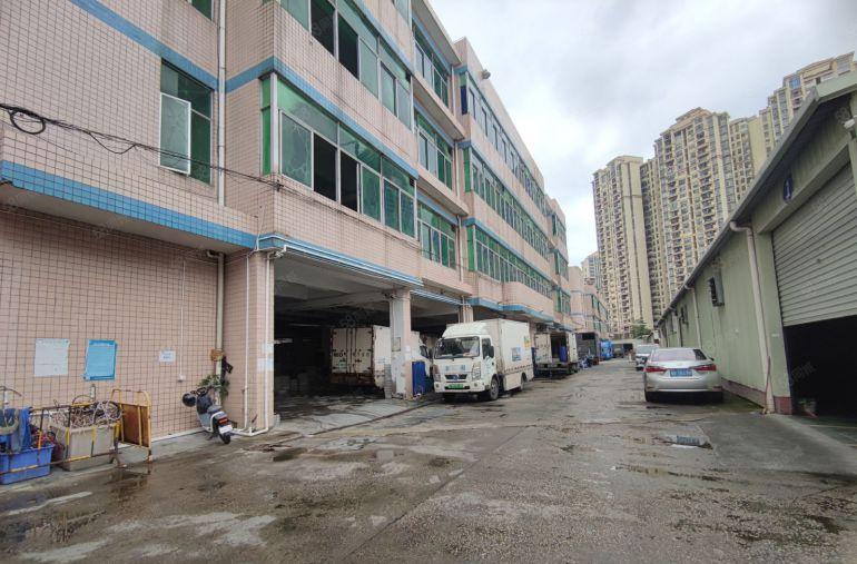 平湖万达附近原房东一楼一整层700平，实际面积出租