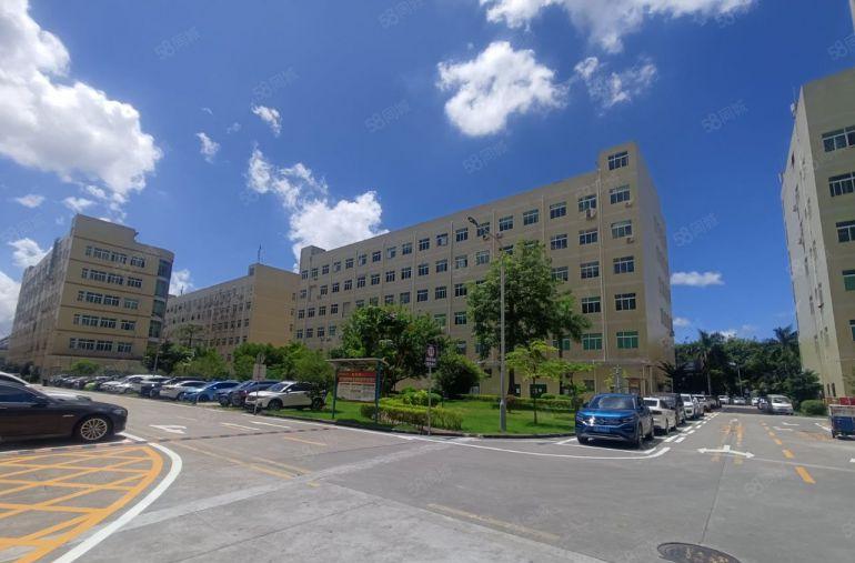 宝龙大型科技园新出一楼1000平方全新装修厂房出租