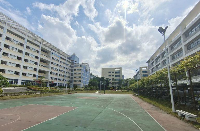 横岗六约原房东大型科技园1000平方带精装修办公仓库厂房出租