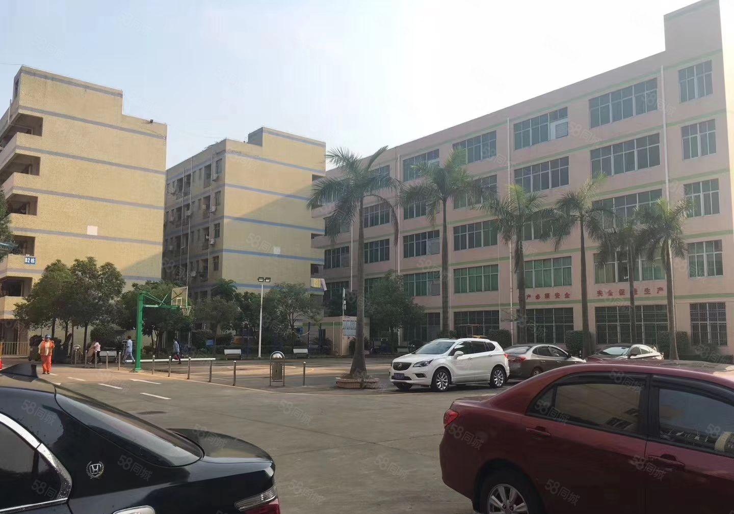 平湖禾花地铁口二三楼2000平方带办公室装修厂房出租