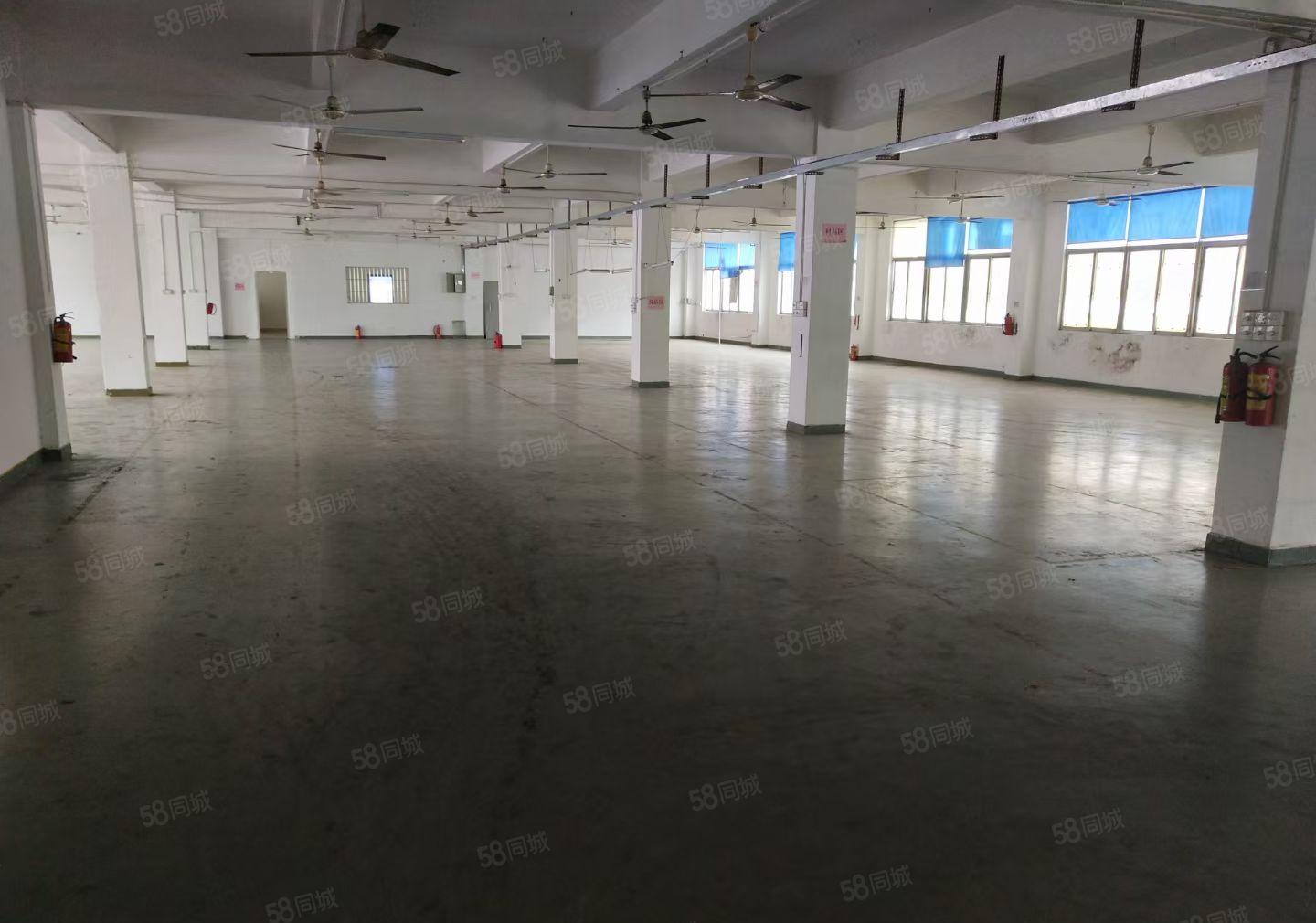 华南城边上木古宝来工业区原房东楼上1500平方出租面积没公摊