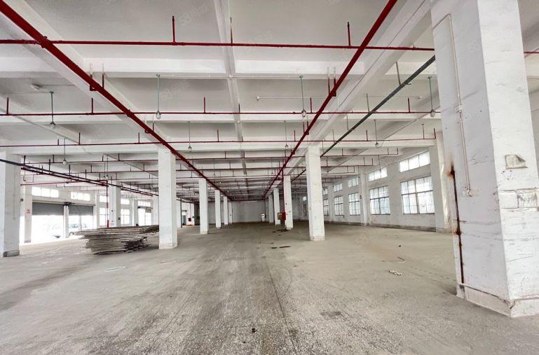 平湖白泥坑靠海吉星原房东1000平厂房仓库出租