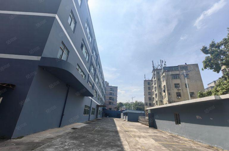 横岗主干道边独门独院8000平厂房仓库低价出租500平方起分