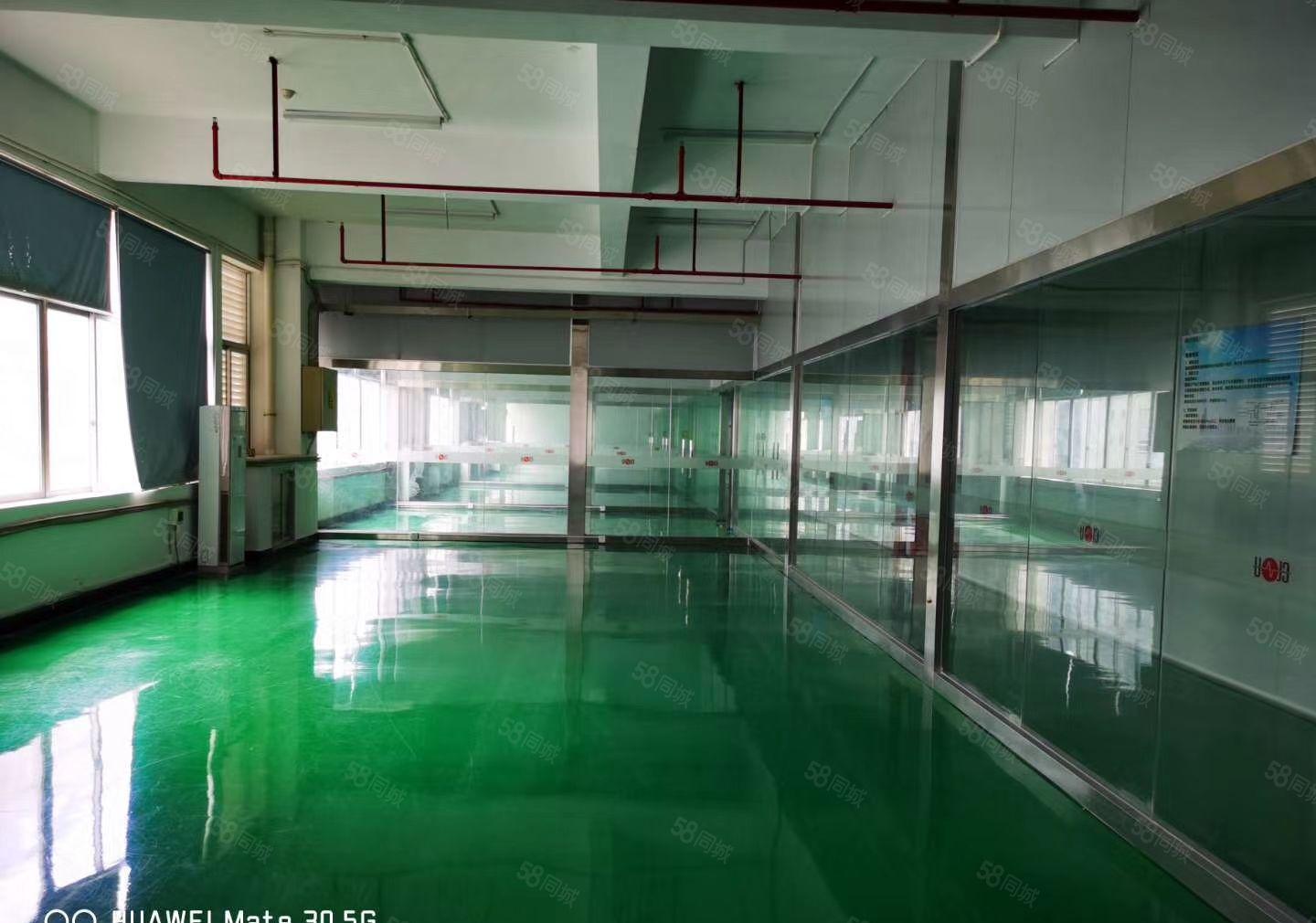 S龙岗中心城独院一楼1000二楼1000平方，可以任意分租