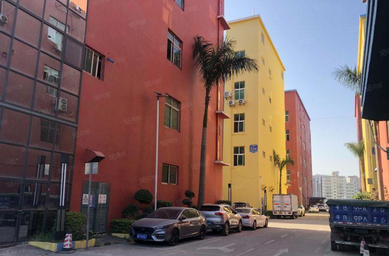 坂田电商园新出600平精装修办公室仓库厂房低价出租