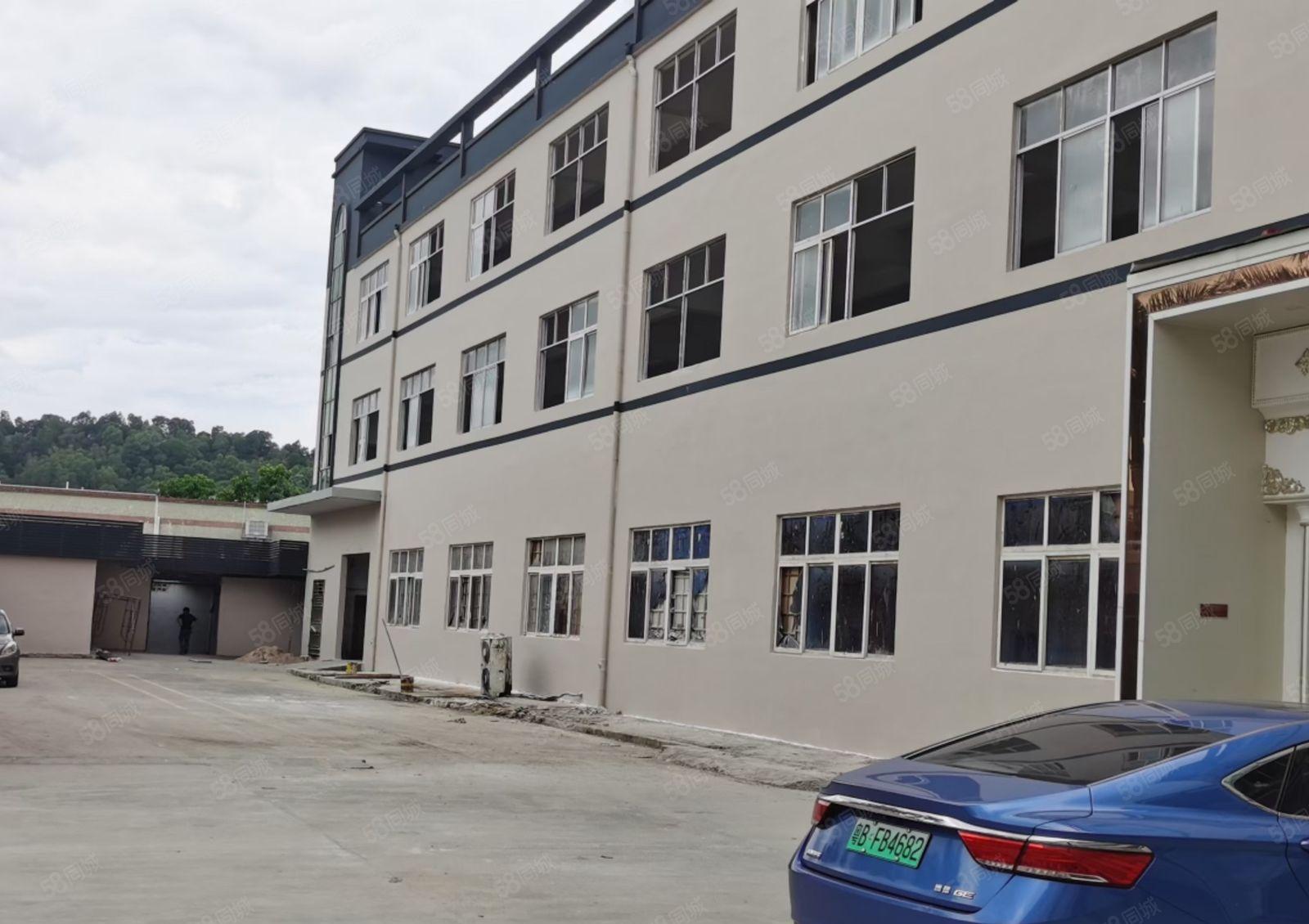 龙岗同乐红本独院厂房