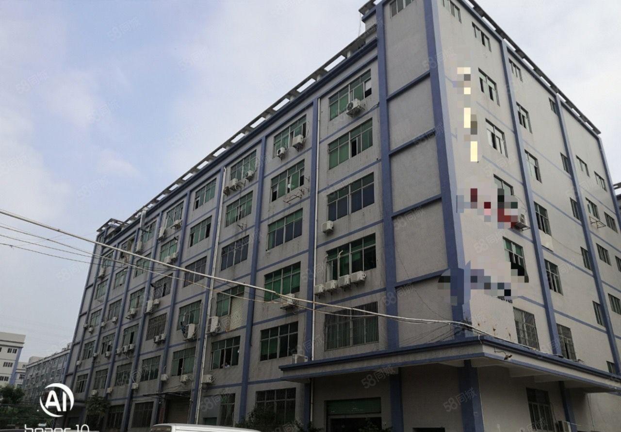 上雪科技园独门独院一至六层带装修厂房生产仓储