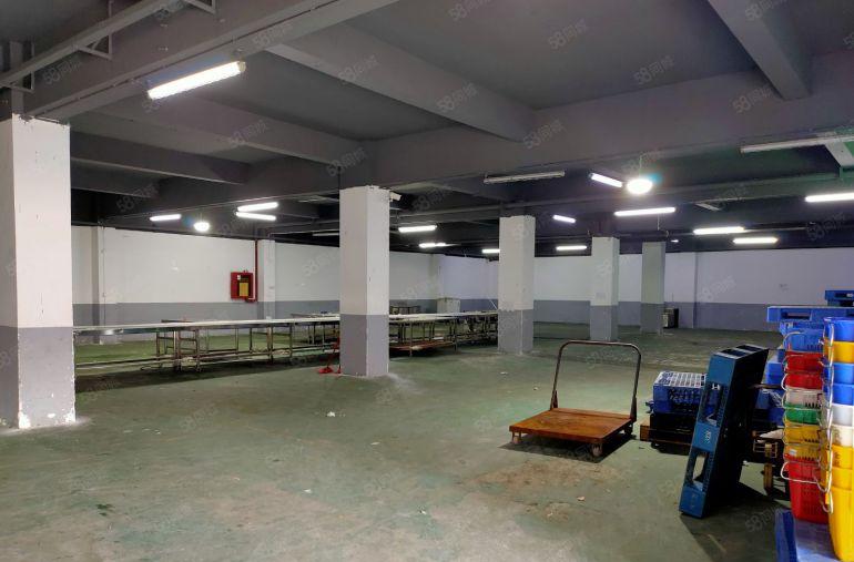 平湖海吉星旁一楼1000平食品配送加工厂房仓库出租分租空地大