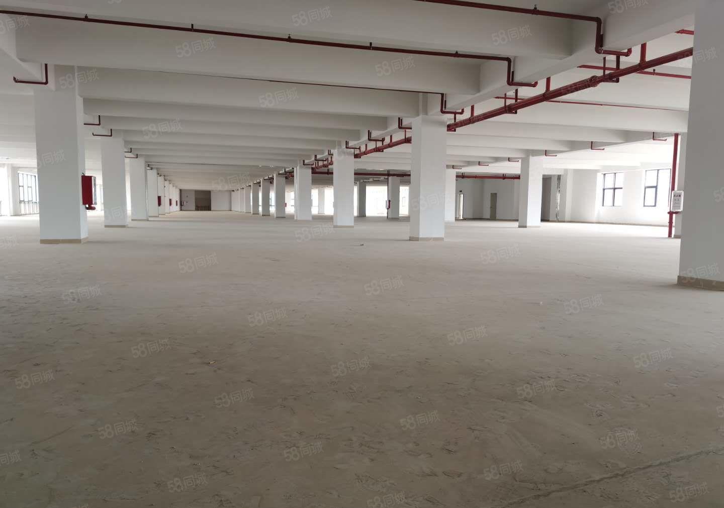 25元起租华南城附近厂房仓库出租近高速口工业园易招工