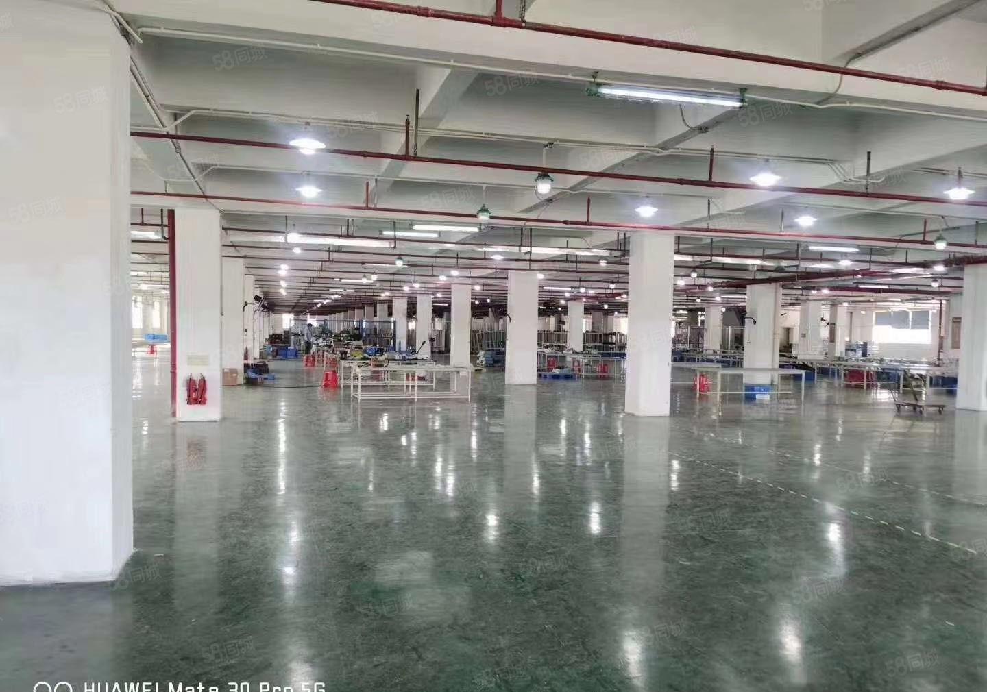 龙岗宝龙大型工业园楼上1300平厂房仓库出租，形象好空地大