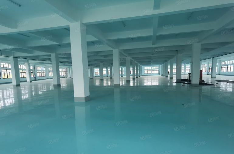 平湖华南城整层2000平方标准厂房出租，大小可分租现成装修