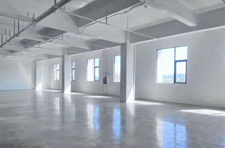 龙岗地铁口电商园区150平米起租带2吨货梯全新装修办公研发厂