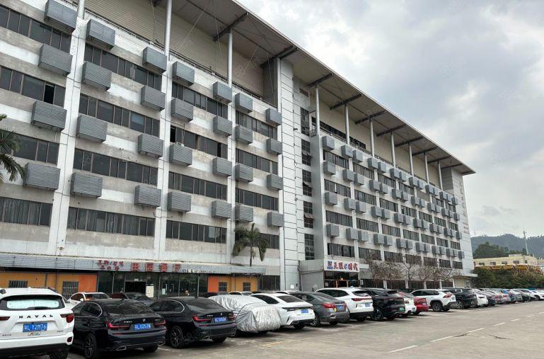 坂田杨美电商厂房仓库1000平带装修有货梯可分租