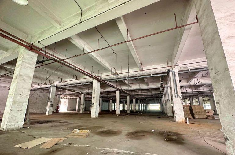 平湖物流仓库基地5000平起带卸货平台，消防喷淋超大空，红本