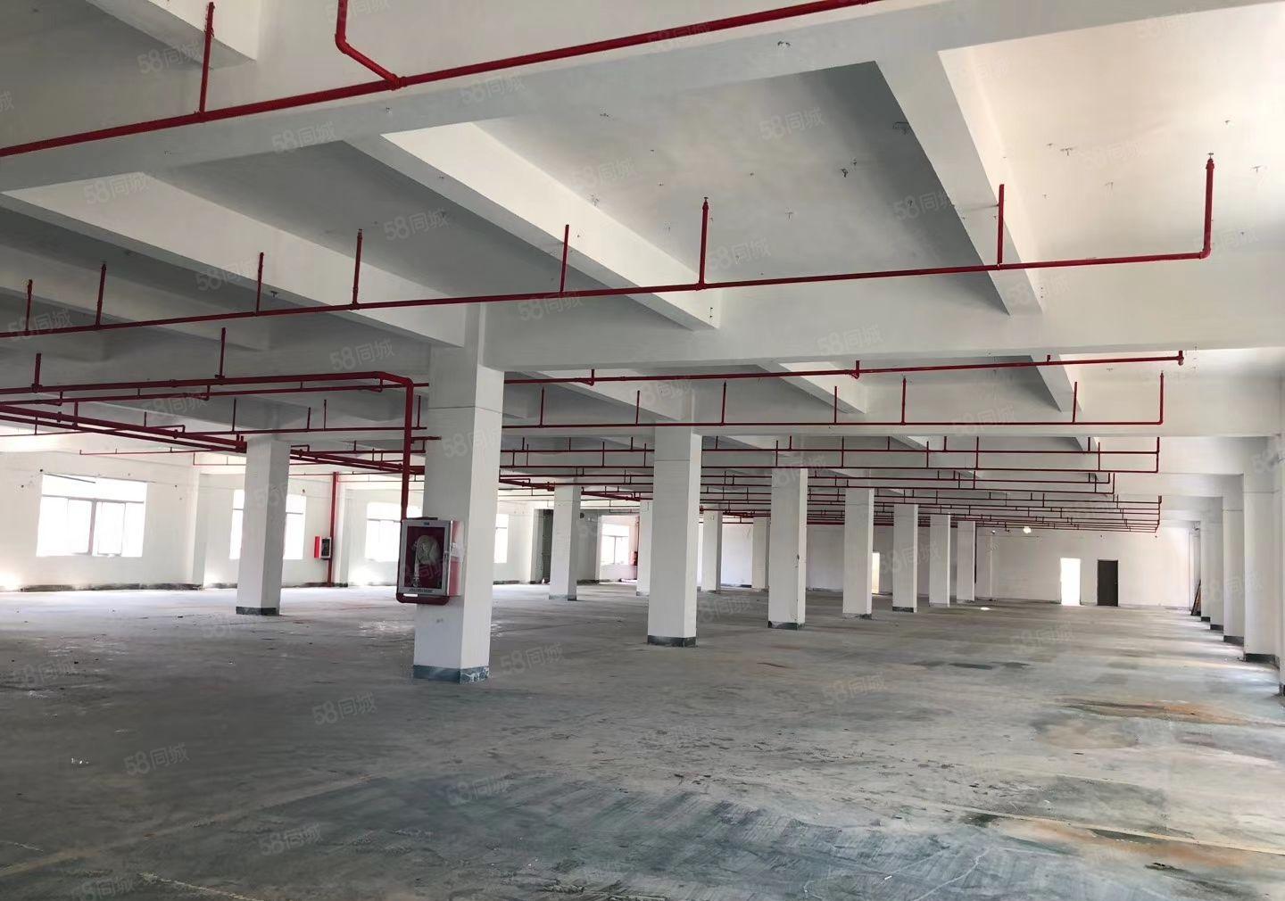 S龙岗中心城独院厂房8000平方，可以任意分租