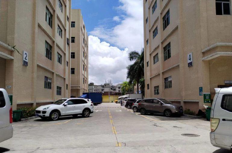 低价坂田贝尔路200平300平500平包装修仓库办公出租