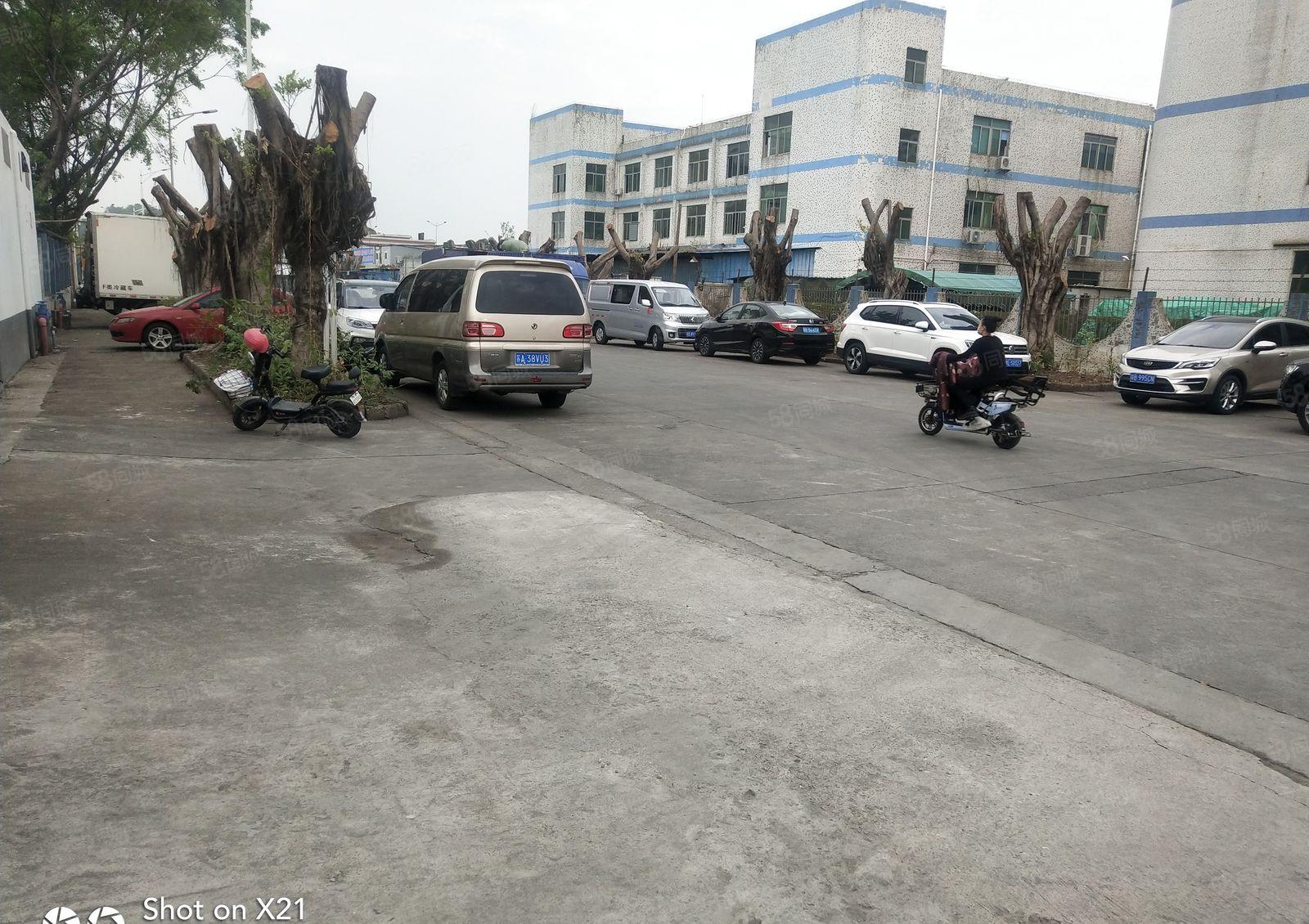 华南城附近独院厂房3300平米，一楼1100，可分600