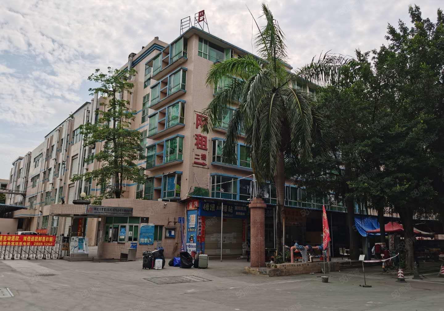 20元起租华南城旁厂房出租仓库招租园区干净漂亮