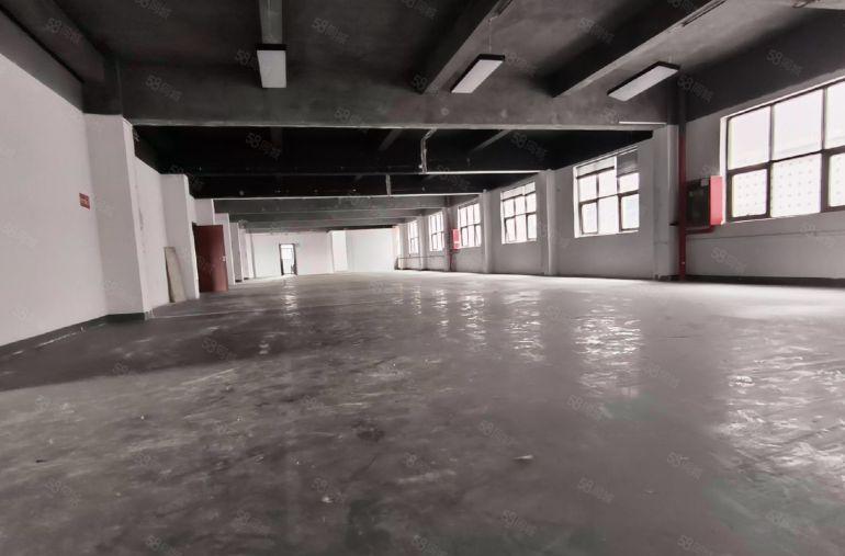 龙岗地铁口独立园区100平起租   整层面积1157平