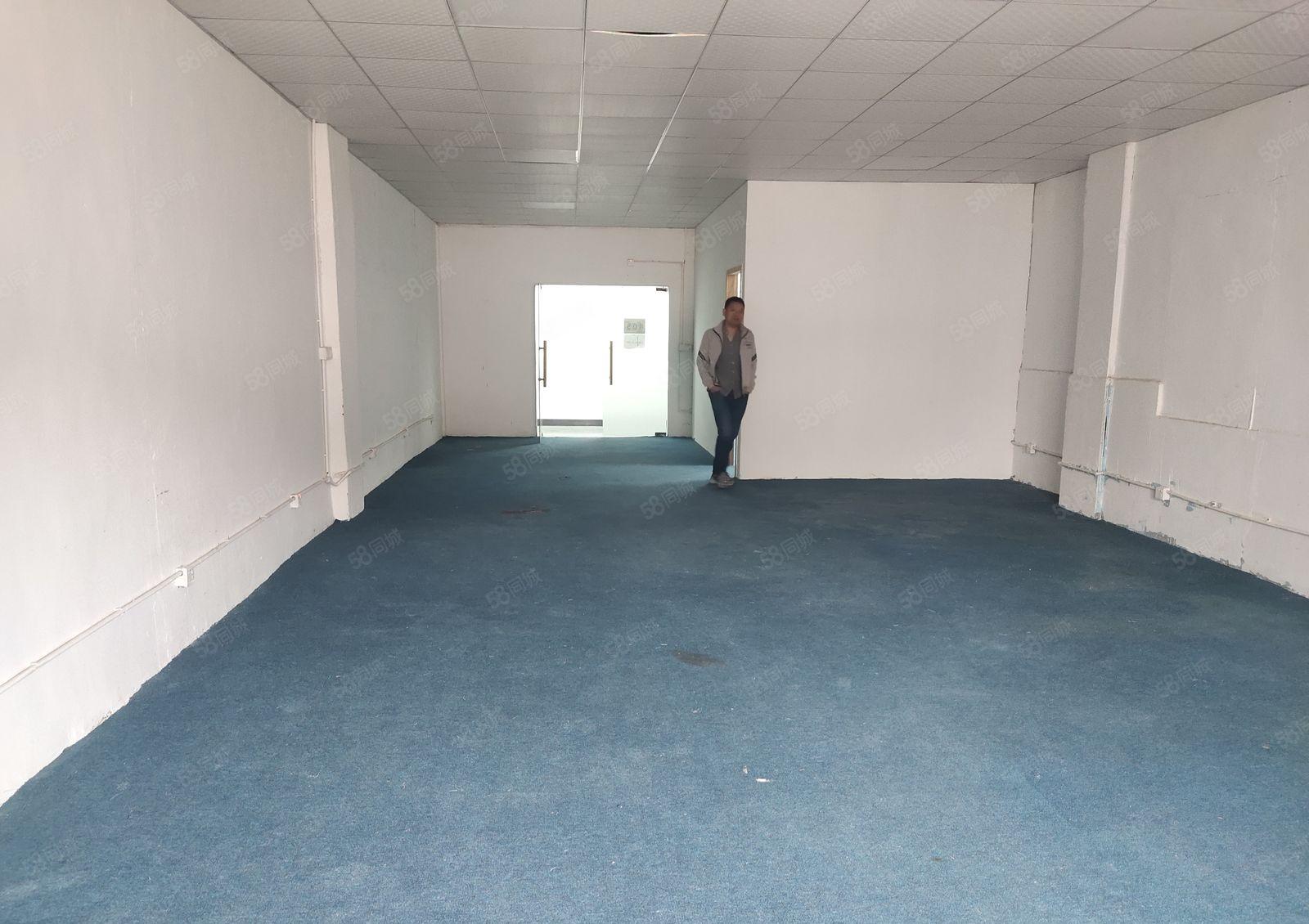 龙岗中心城爱联精装修厂房94平方169平方263平方出租