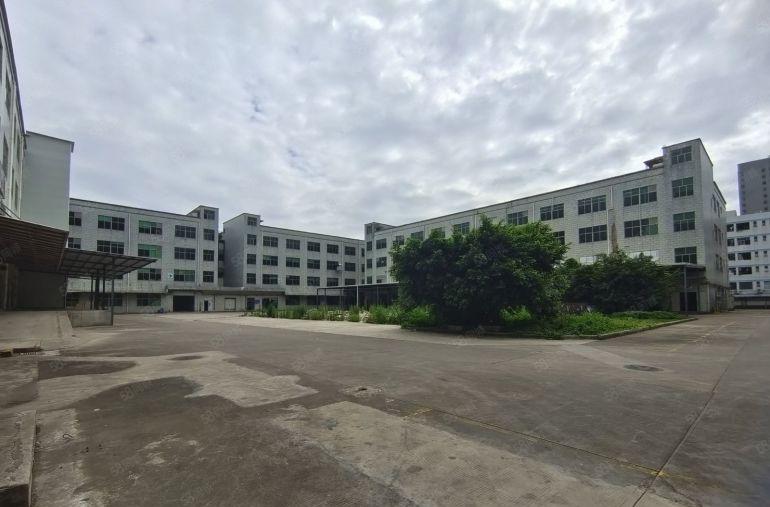 空地大龙岗中心城1楼2000平方带精装修办公室厂房仓库出租