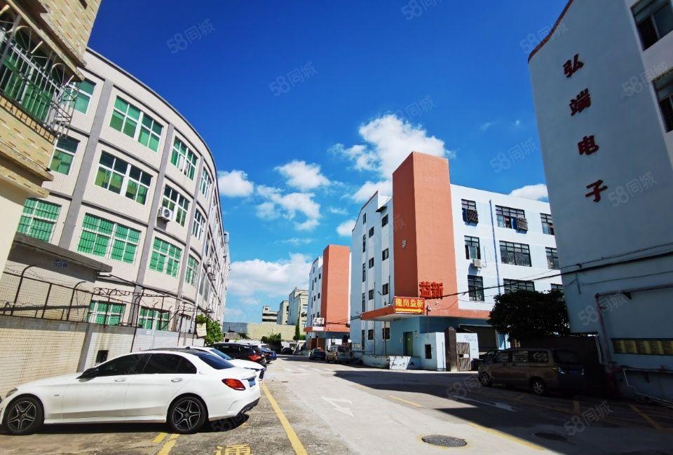 500平起租大型工业园全新地坪漆一楼楼上1600平可办环评