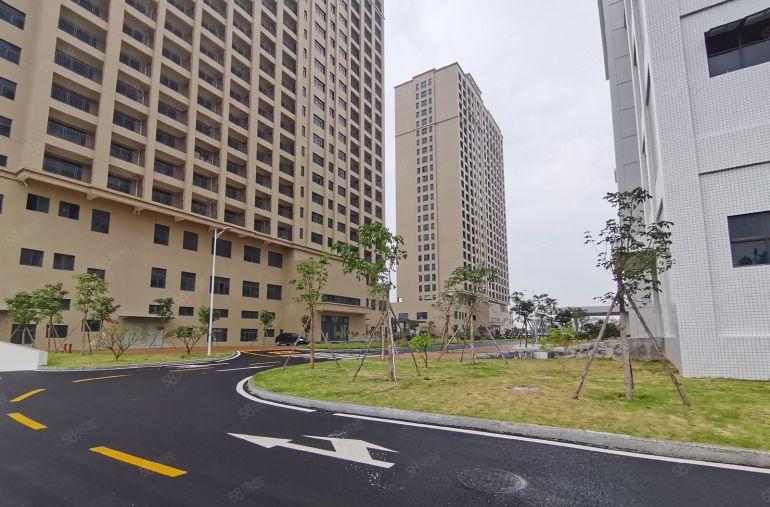 横岗大型产业园2000平厂房出租免租期12个月起研发办公仓库