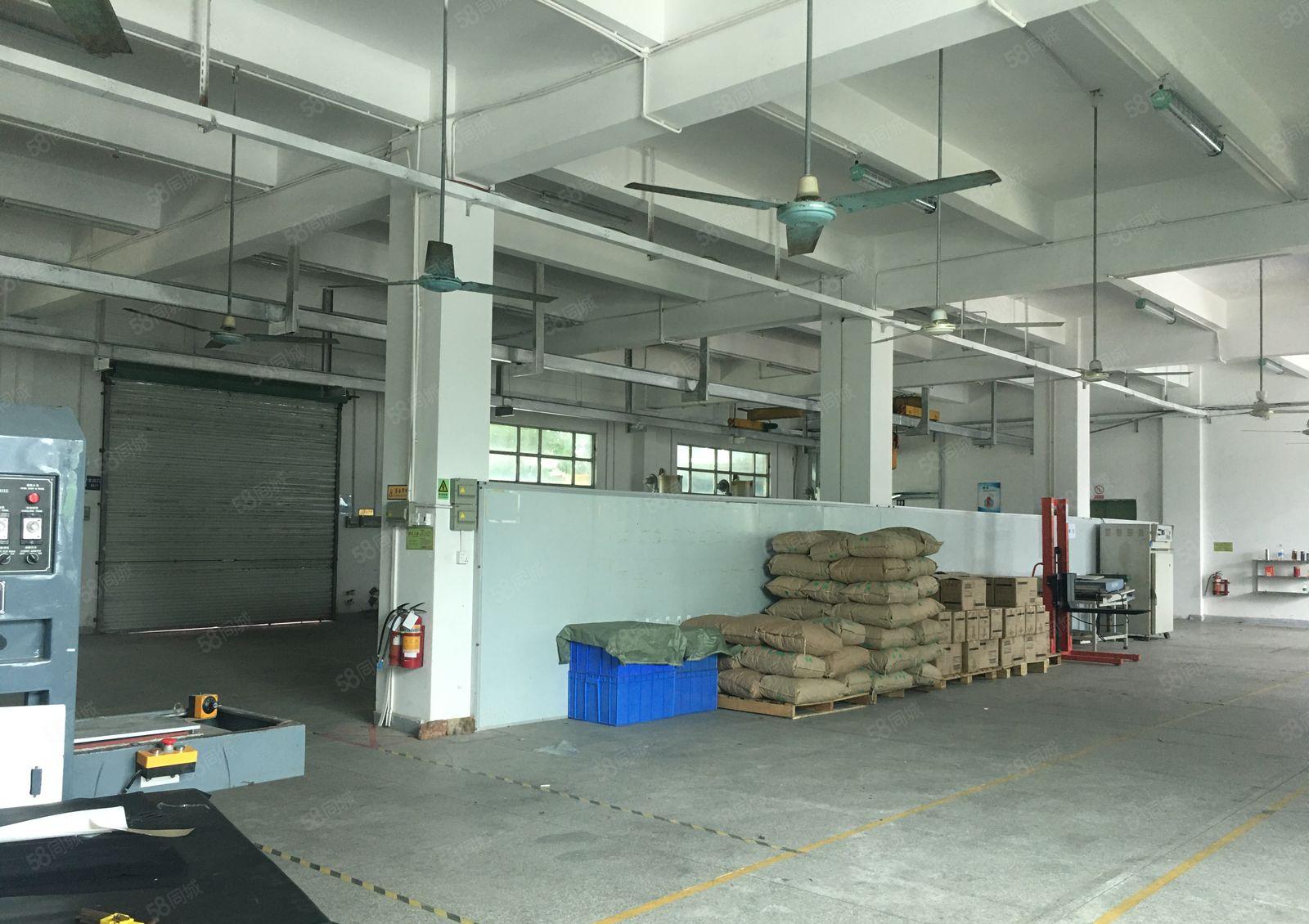 平湖富民工业园区独院2百5百8百1千平一楼仓库厂房出租可分租