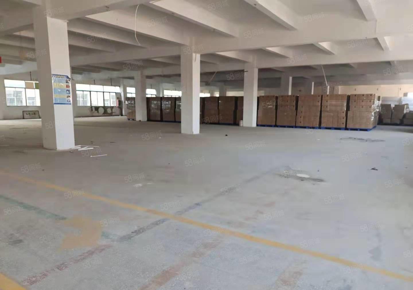 坪地原房东工业园楼上800平厂房出租