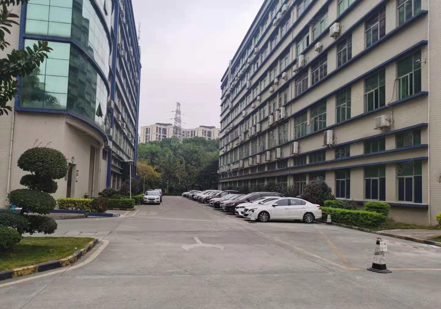 原房东！六约工业区新空出3楼1500平方带精装修厂房出租可分