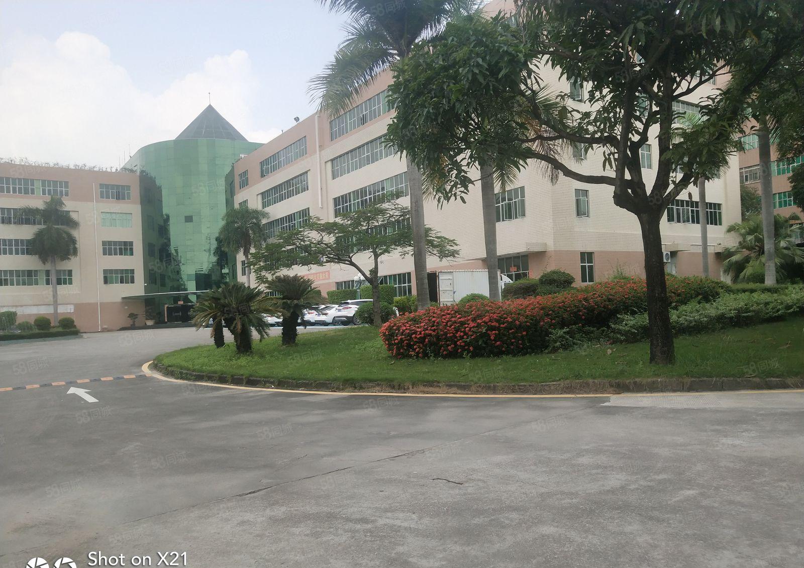 坂田独院厂房8000平米，大小分租，可分租300，500平米