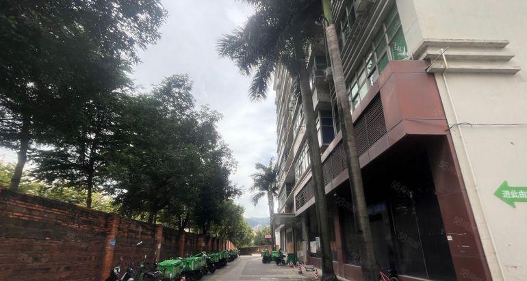 坂田原房东实际面积一层1200平厂房低价出租 带装修仓库出租