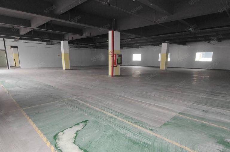龙岗宝龙高新园区厂房仓库出租一二楼1500平一层有地坪漆装修
