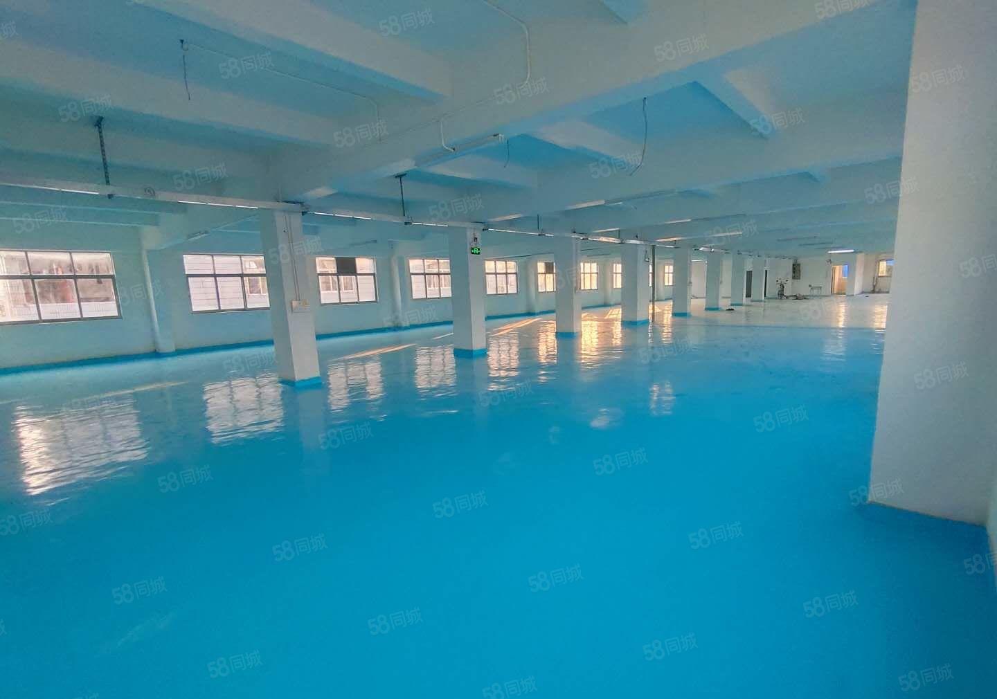 平湖原房东独院一楼2百平5百平8百平1千平仓库厂房出租可分租