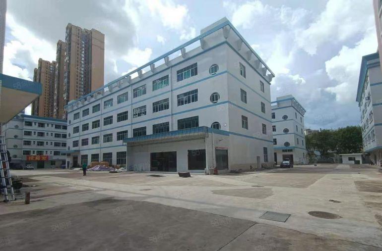 龙岗宝龙同乐楼上红本1000平厂房出租原房东仓库200起租