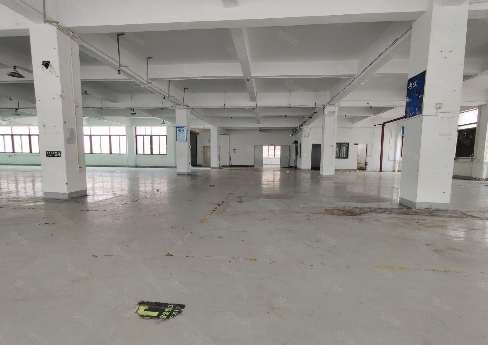 龙岗爱联地铁口原房东二楼1050平厂房出租300平起可分租