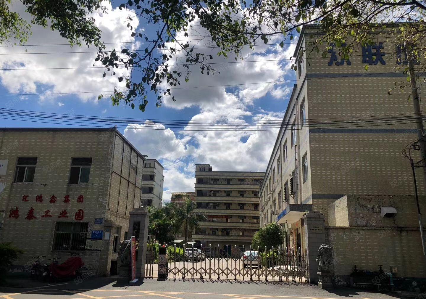 爱联南联 龙西五联 同乐 龙东宝龙300到30000平厂房分