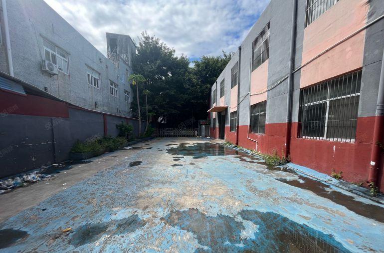 横岗安良原房东独院厂房招租2000平方，合同9年，免租3个月