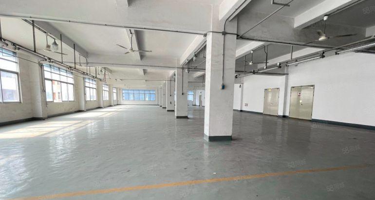 五百平起租龙岗宝龙原房东带红本厂房独门独院1773平仓库出租