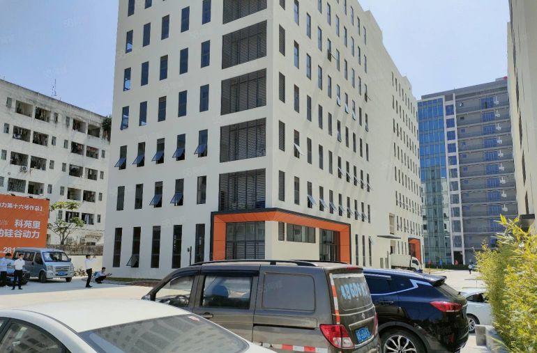 坂田带装修2000平厂房出租 可分租 工业园低价仓库招租