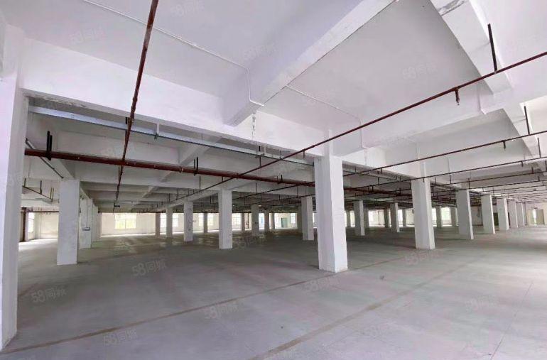 深圳龙岗红本厂房出租低价14元