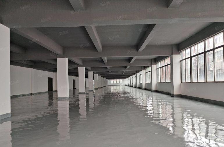 低价！布吉李朗100平起租全新厂房地坪漆原房东红本可加工行业