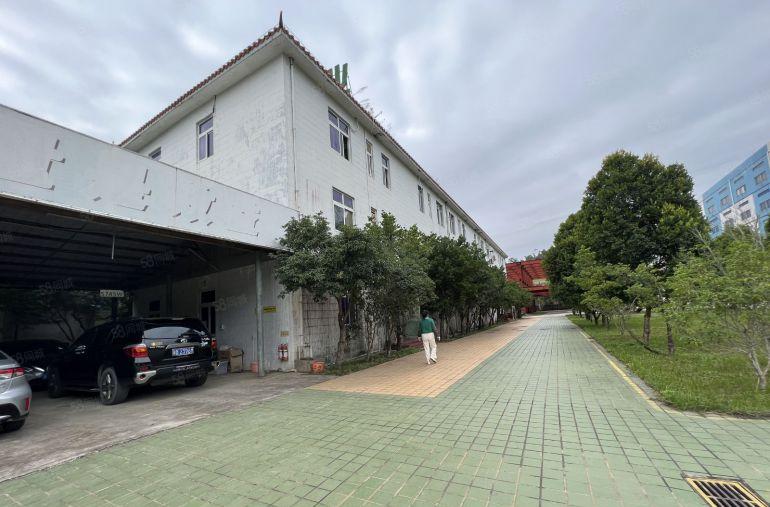 横岗地铁口花园式红本厂房2600平出租大小可分租形象好空地大