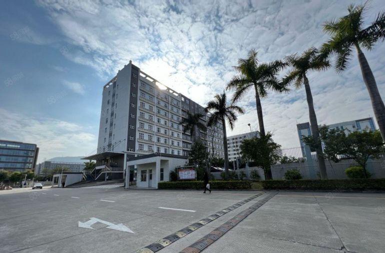 龙岗宝龙花园原房东实际面积厂房10000平方出租形象地段好