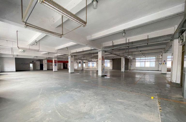 横岗主干道新出独门独院厂房5000平有红本消防带一栋宿舍出租