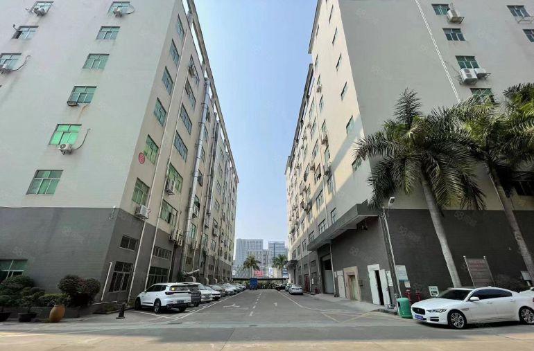 超大空地杨美2000平一楼标准厂房200平起分适合物流仓库