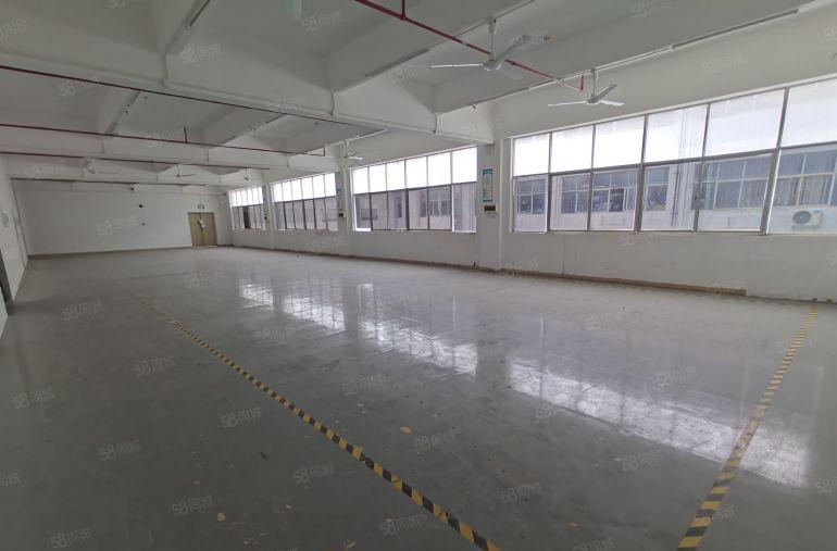龙岗宝龙500平方起租工业园厂房出租精装修办公室仓库独栋分租