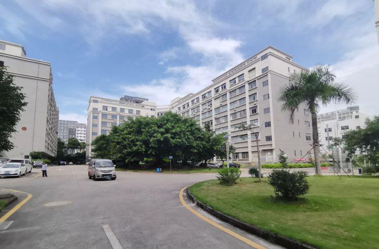 坂田华为旁新出楼上整层电商仓库2000平原房东厂房出租！！